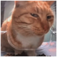 PeanutMaster2048