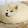 doge