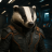 Star Badger